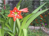 bd3beada-Picture 005.jpg